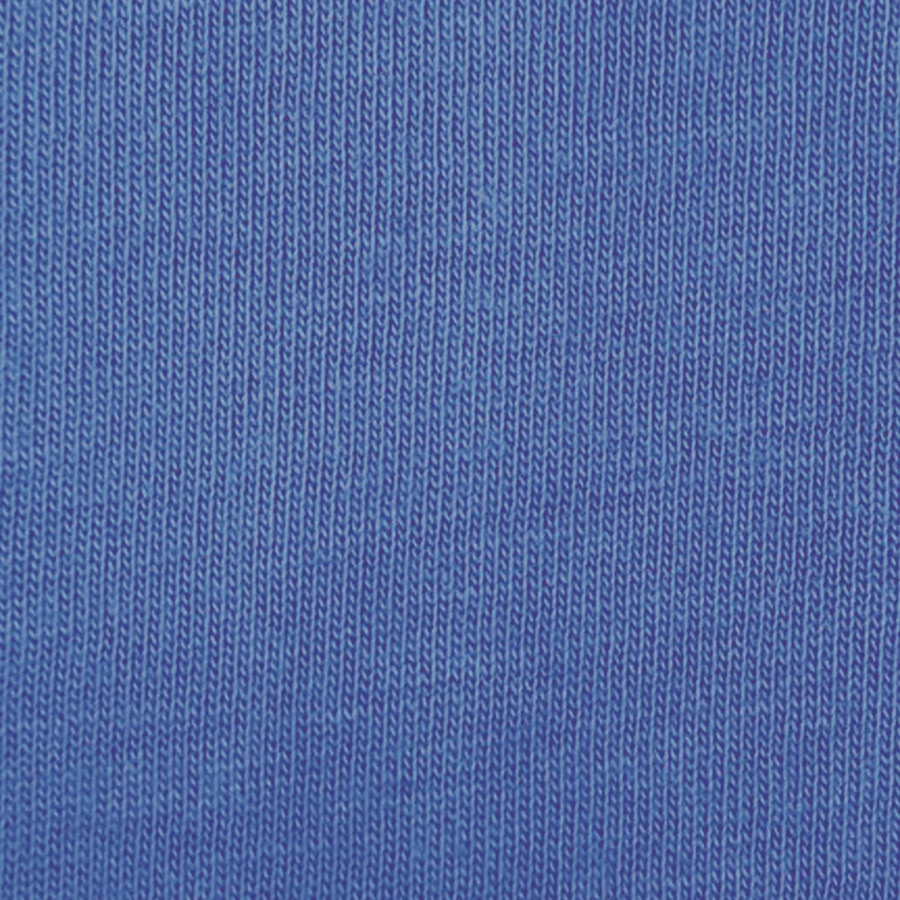 PETITE Long Sleeve Solid Polo | Ocean Drive 30A